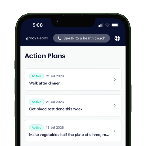 Groov Health - Action Plan zoom.jpg